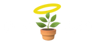 Halo Plant Light