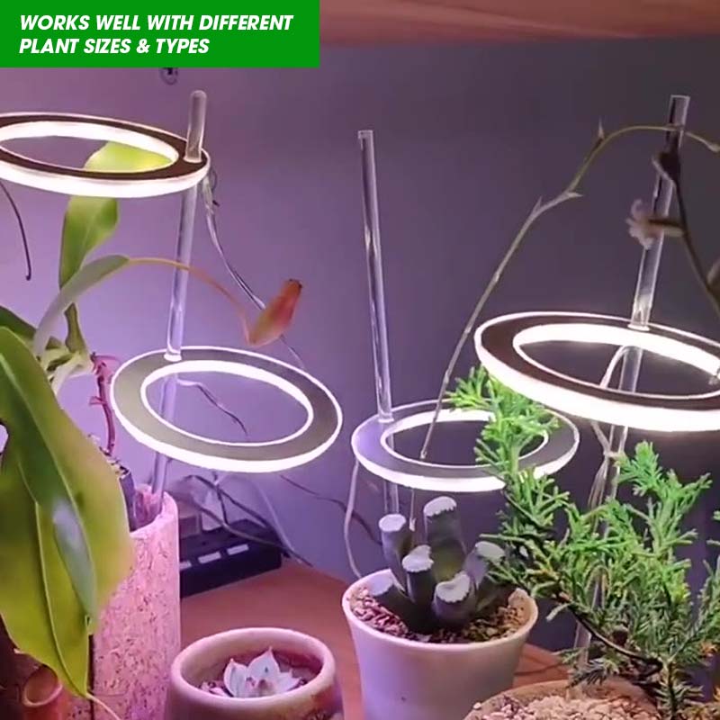 HALO PLANT LIGHT - with free rooting powder