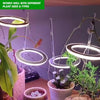 HALO PLANT LIGHT - with free rooting powder