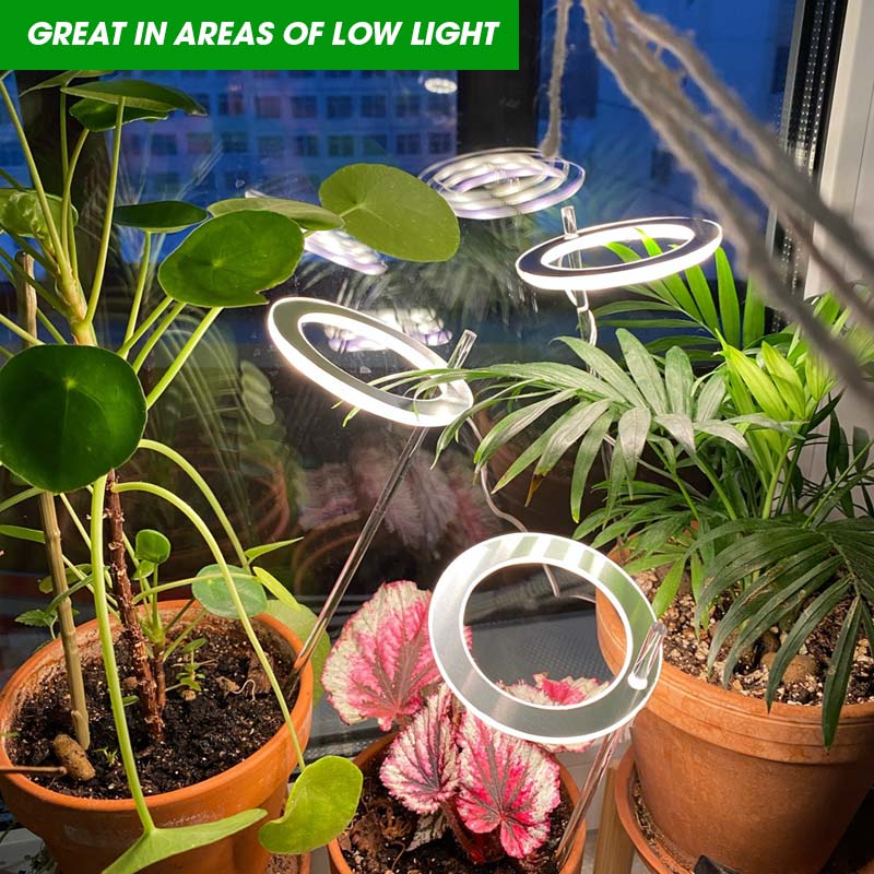 halo grow lights for indoor plants HALO PLANT LIGHT