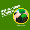 HALO PLANT LIGHT - with free rooting powder